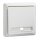 ELSO Taster 502134 10A komplett RENOVIERUNG rw