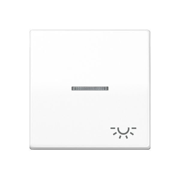 JUNG Wippe AS591KO5LWW mit Symbol Licht