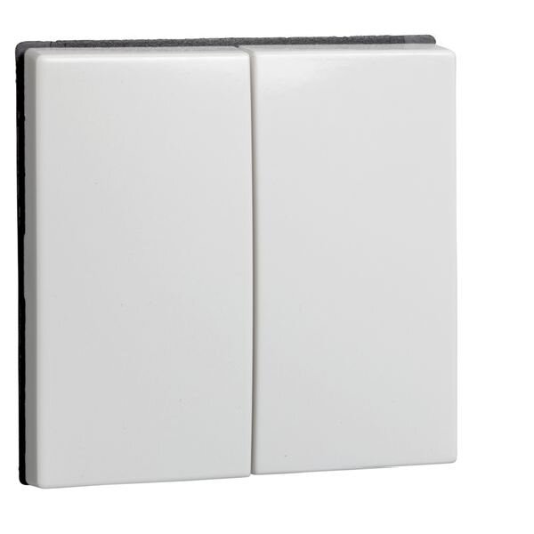 ELSO Wippe 273504 Seriensch./Doppeltaster JOY rw