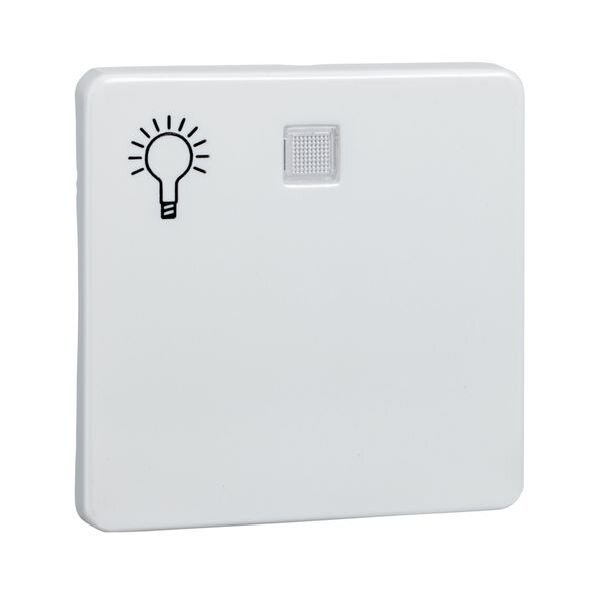 ELSO Wippe 213154 bel. + Symbol Licht reinweiß