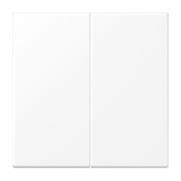 JUNG Wippe LS995WWM f.Serienschalter