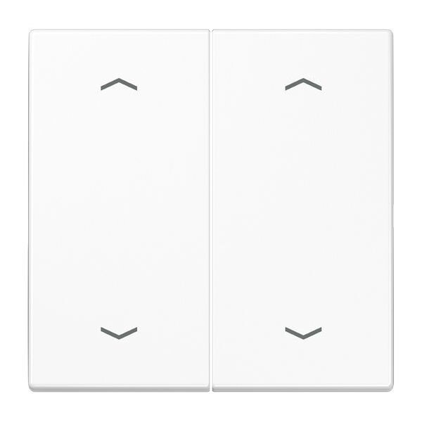 JUNG Wippe LS102PWW f.Serien-Pfeile