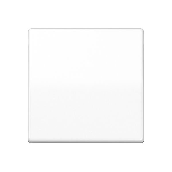 JUNG Wippe AS101WW f.Taster