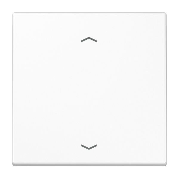 JUNG Wippe LS101PWW f.-Pfeile