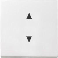 GIRA Wippe 861603 Pfeilsymbole Sys 55 rw