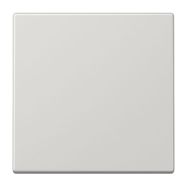 JUNG Wippe LS990LG für Schalter/Taster