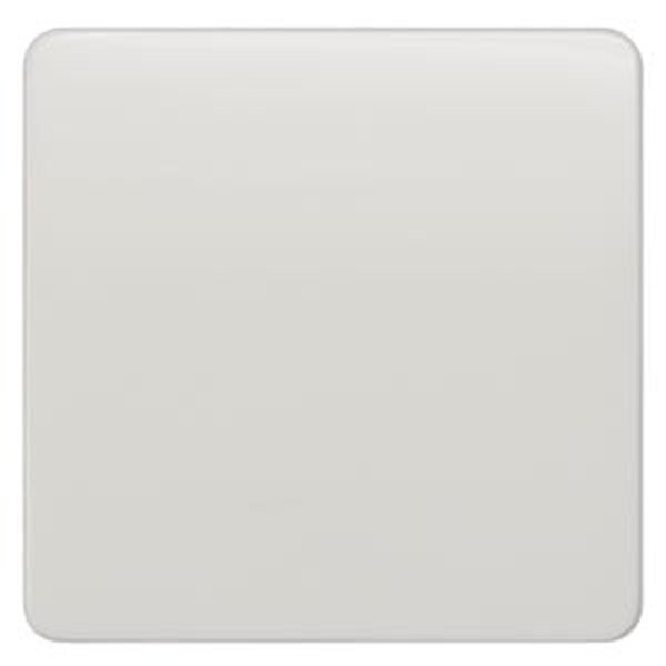 Siemens Wippe 5TG7801 neutral titanweiss