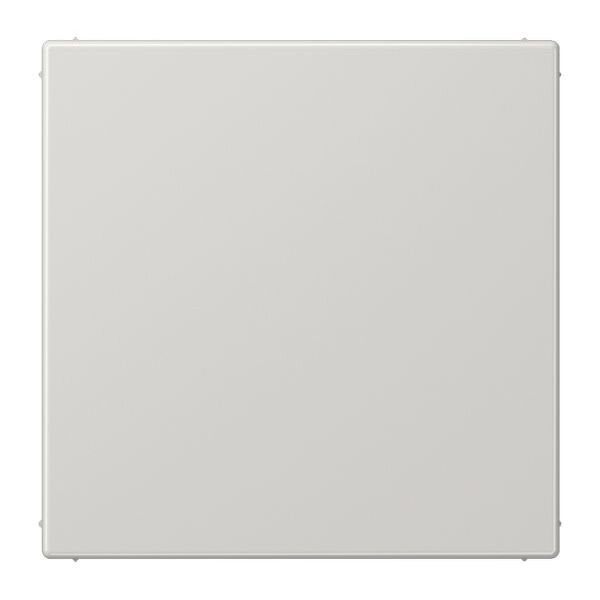 JUNG Blindabdeckung LS994BLG