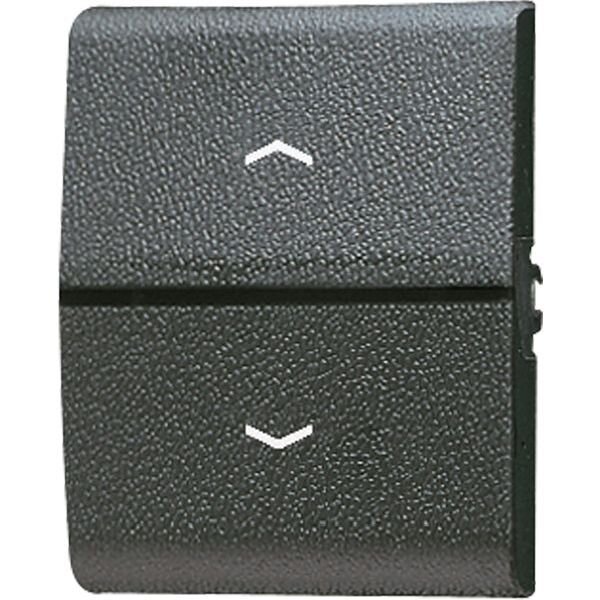 JUNG Wippe 800P mit Symbol Pfeil