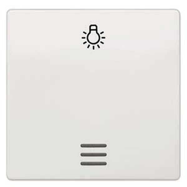 Siemens Wippe 5TG6206 mit Symbol titanweiss