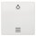 Siemens Wippe 5TG6206 mit Symbol titanweiss