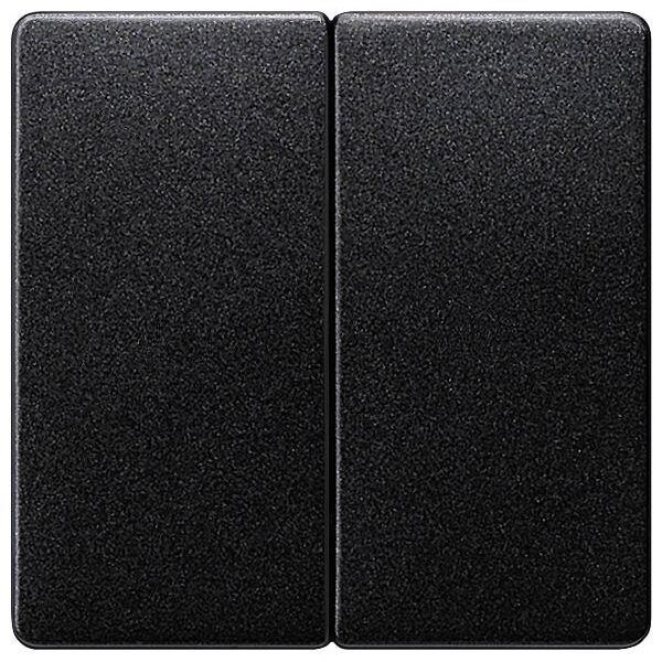 Siemens Serienwippe 5TG6225 carbon-metallic