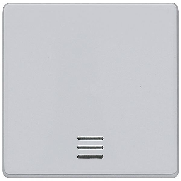 Siemens Wippe 5TG6240 alluminium-metallic