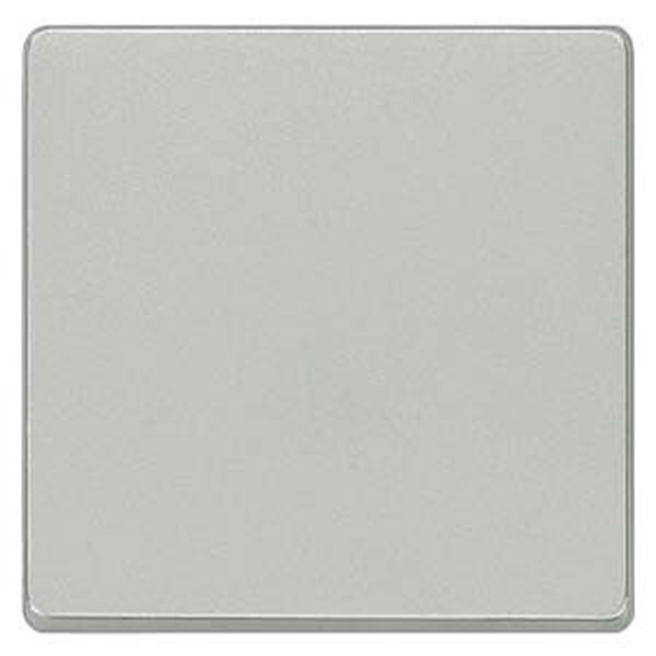 Siemens Wippe 5TG6241aluminium-metallic