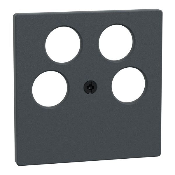 Merten Zentralplatte 295314 anthrazit System M
