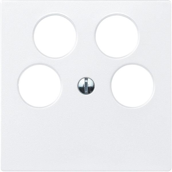 Merten Zentralplatte 295319 polarweiss System M