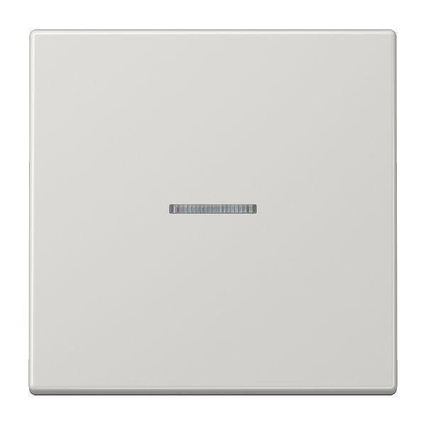 JUNG Wippe LS990KO5LG für Kontrollschalter