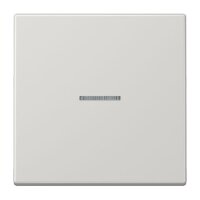 JUNG Wippe LS990KO5LG für Kontrollschalter