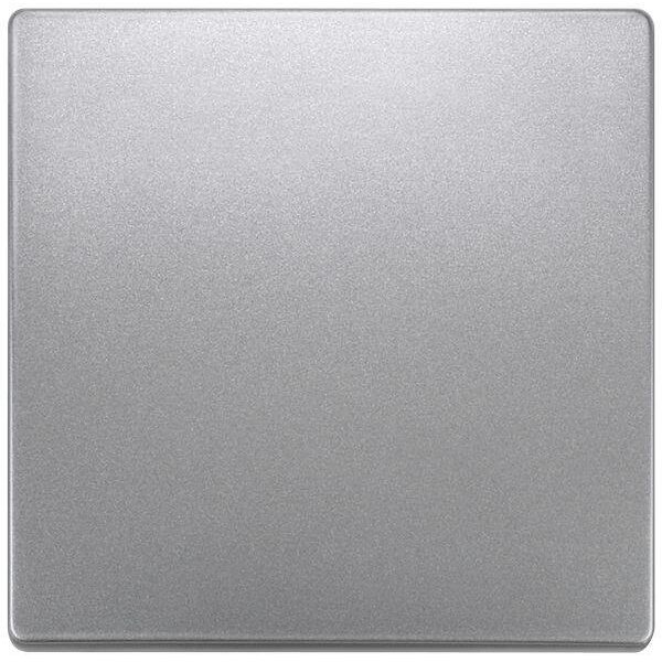 Siemens Wippe 5TG7141-1 platin-metallic