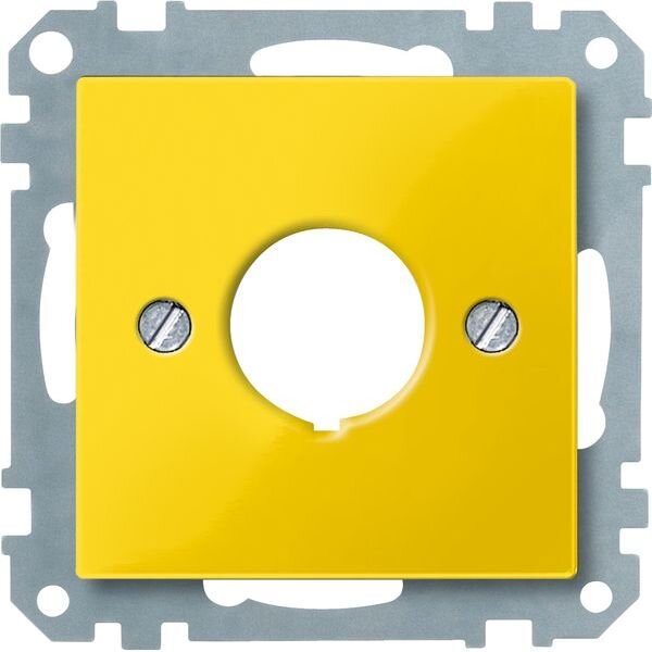 Merten Zentralplatte 393803 gelb System M
