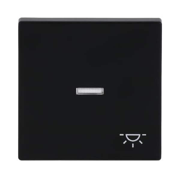 Busch-Jaeger Wippe 1789 LI-885 Symbol Licht schwarz matt