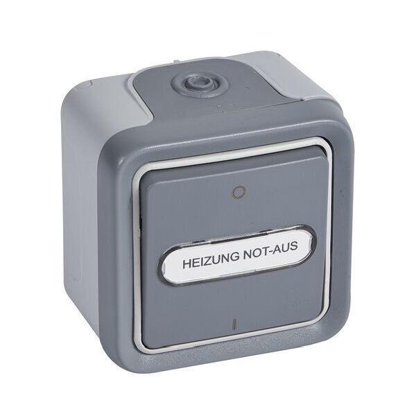 Legrand Wippschalter Plexo IP55 69726 Aus- 2polig Kontroll FR AP